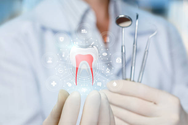 Best Traditional Braces  in Webster, TX